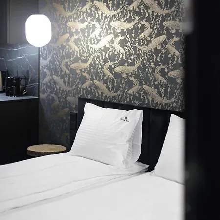 Black Bear 4* Gdańsk