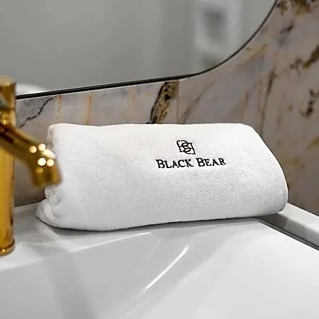 Black Bear