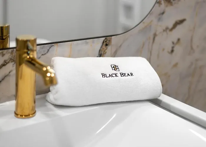 Appart hôtel Black Bear