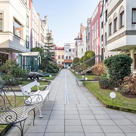 Black Bear 4* 格但斯克